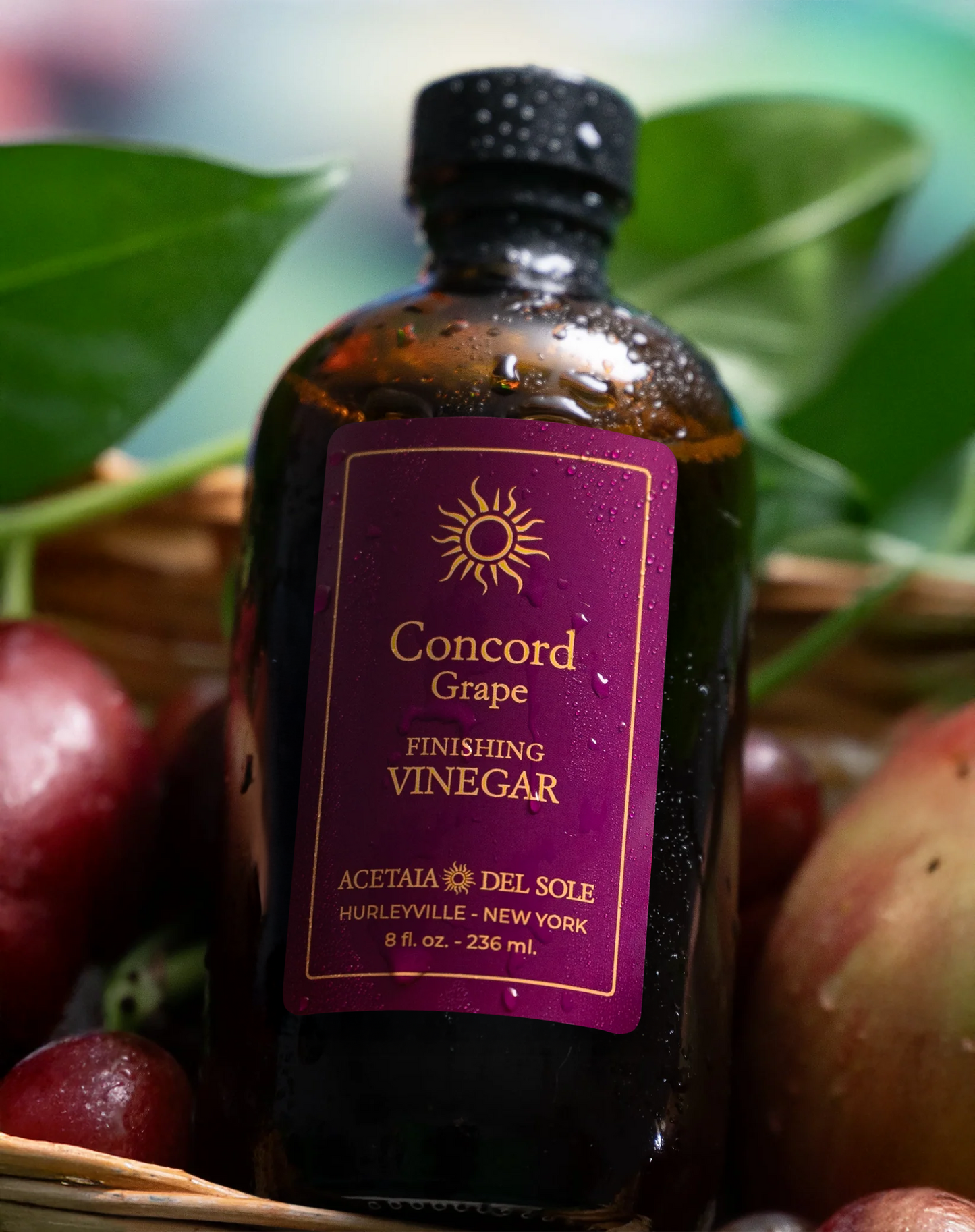 Concord Grape Vinegar: A New York State Innovation
