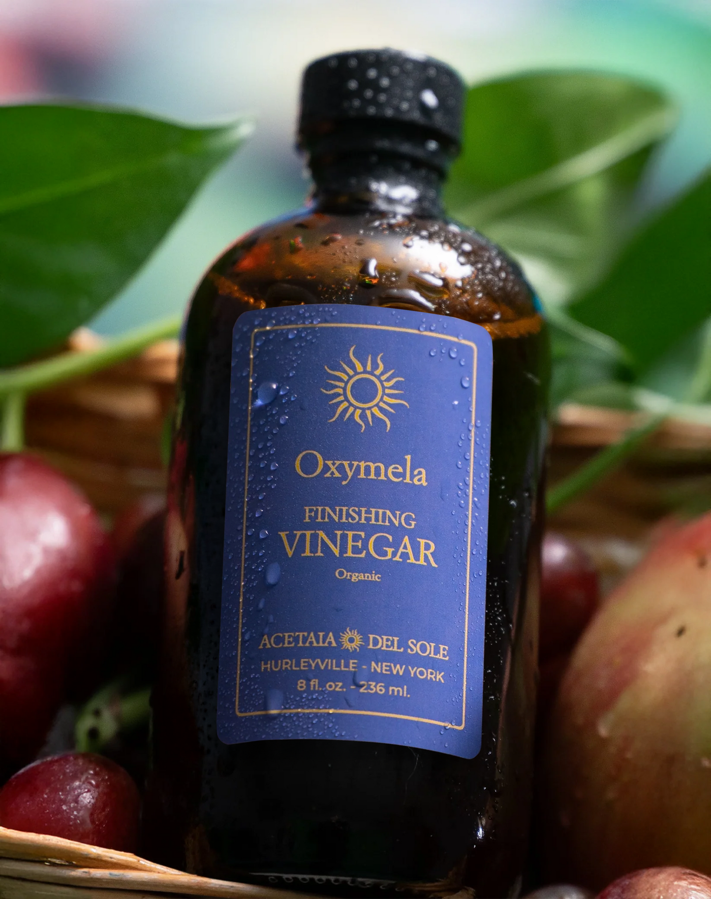 Oxymela Vinegar: A Taste of Ancient Rome